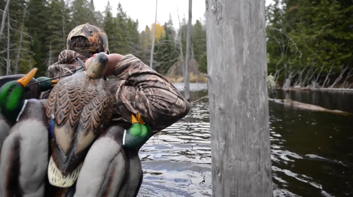 duck-hunter-with-decoys Duck hunter with decoys