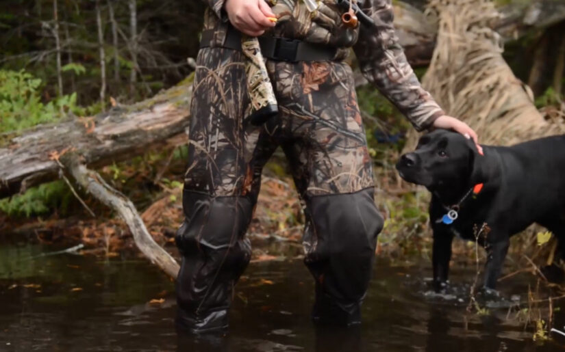 Duck hunter wading in the water with his dog